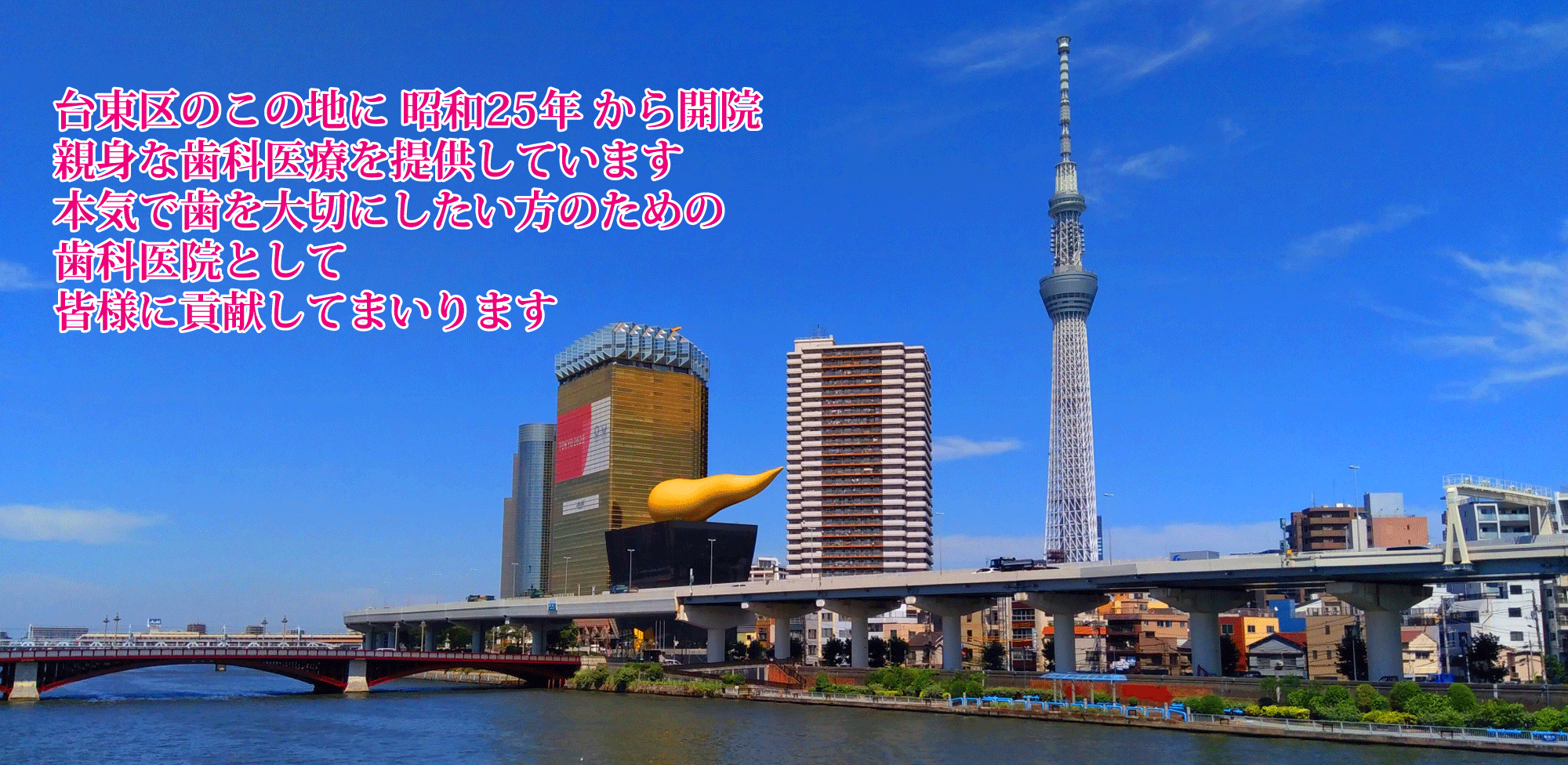代田歯科医院は、台東区のこの地に昭和25年から開院、親身な歯科治療を提供しています。本気で歯を大切にしたい方のための歯科医院として、皆様に貢献していきます