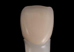 ���^���{���h