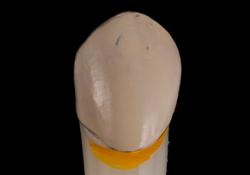 �ی��̃N���E��